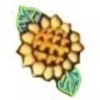 DuanYi's profile picture