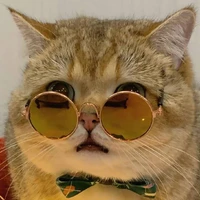 SihengLi's profile picture