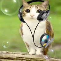 Rex Tro 111's profile picture