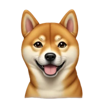Jack Zhang's profile picture